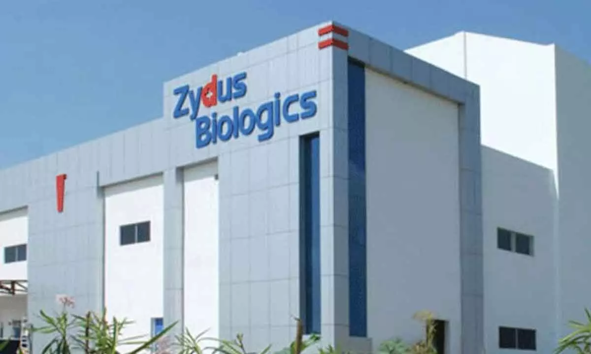 Zydus gets final approval from USFDA for Lacosamide injection