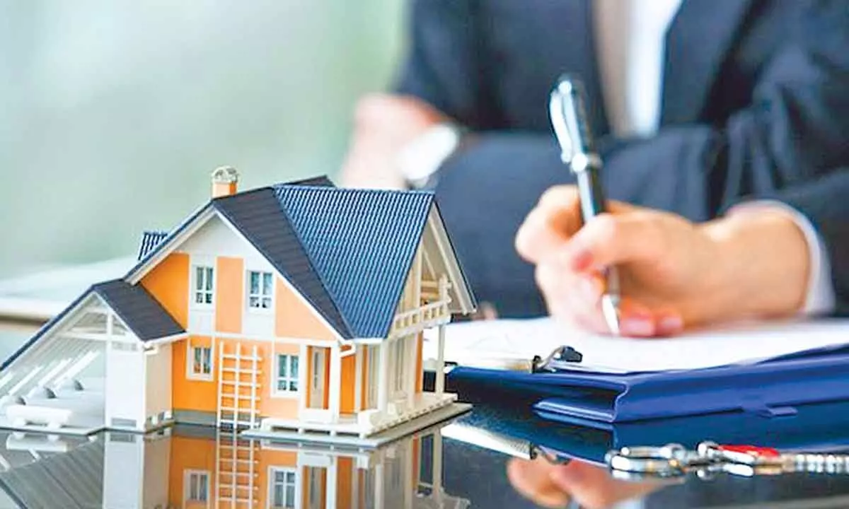 Career options in the real estate sector