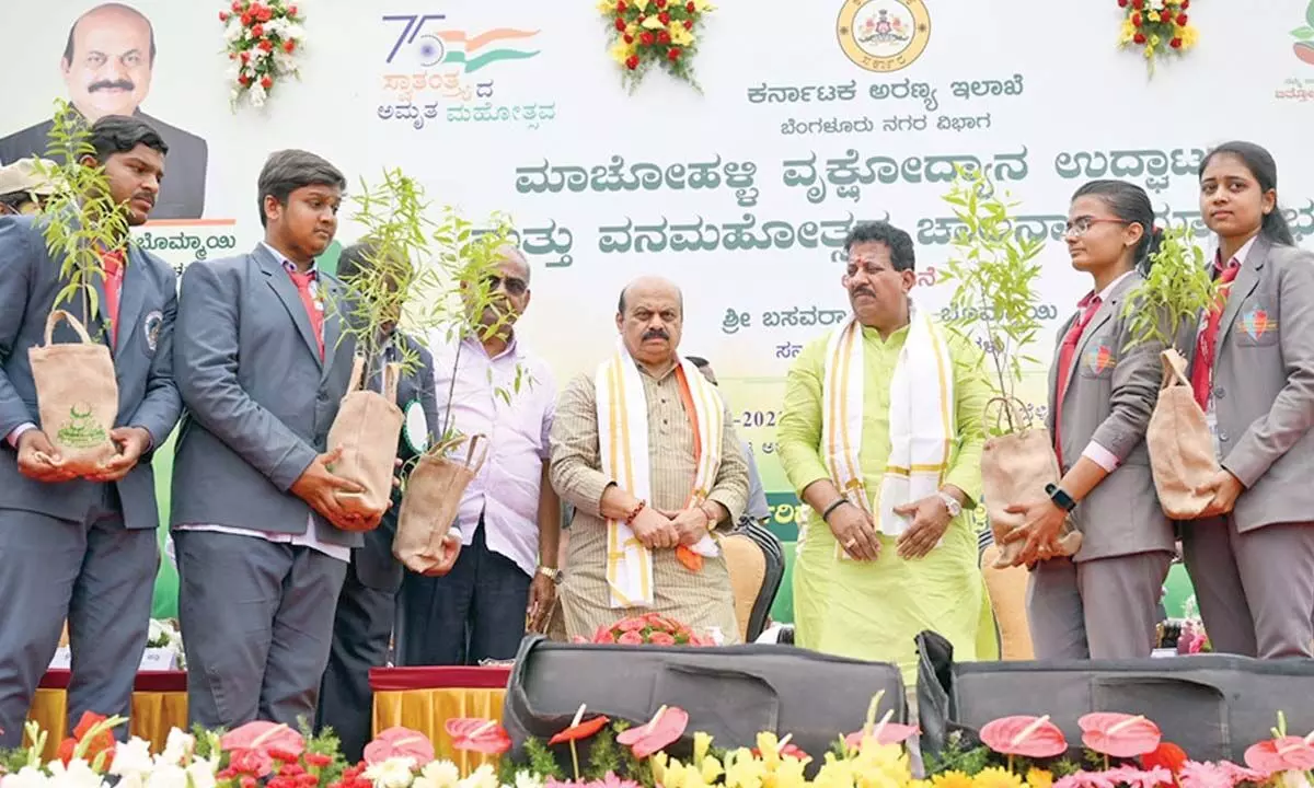 ‘Each one plant five’, CM Basavaraj Bommai’s call for afforestation