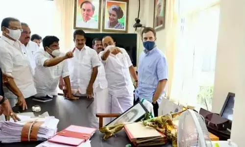 Violence will not resolve problems: Rahul Gandhi in Wayanad National