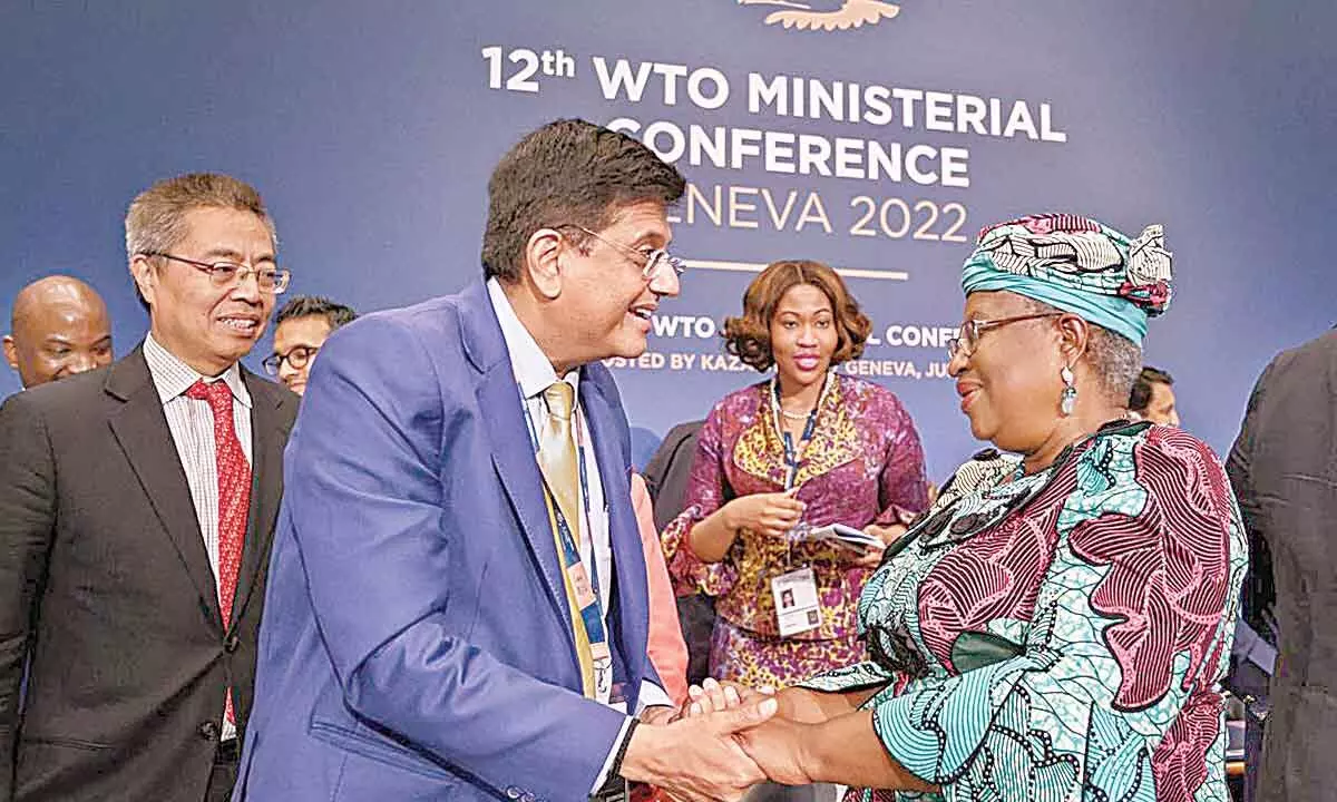 Was WTO meet a success for India?