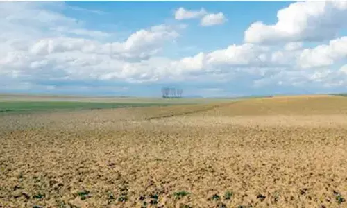 Groundnut crop field kept idle in Kalyandurgam