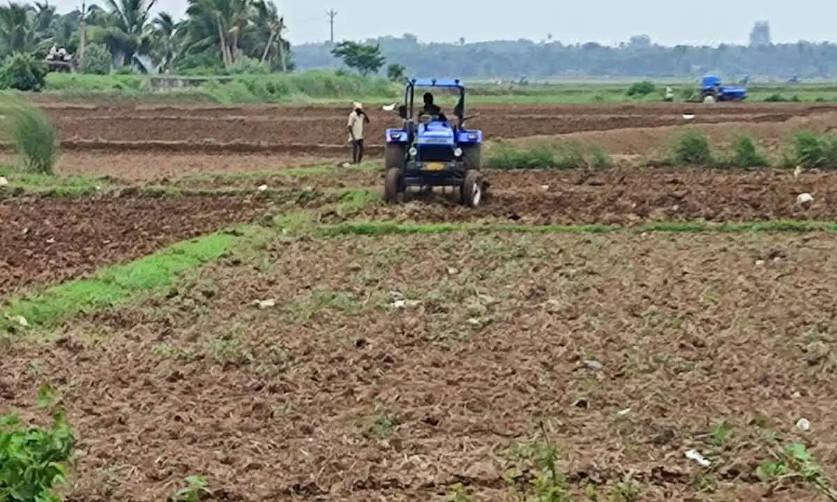 Farmer ploughs his farm field with tractor at Rayipadu village to sow paddy seeds