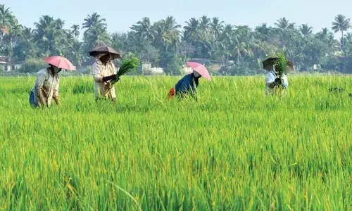 Representational image