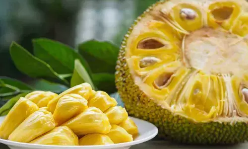 Jackfruit Day
