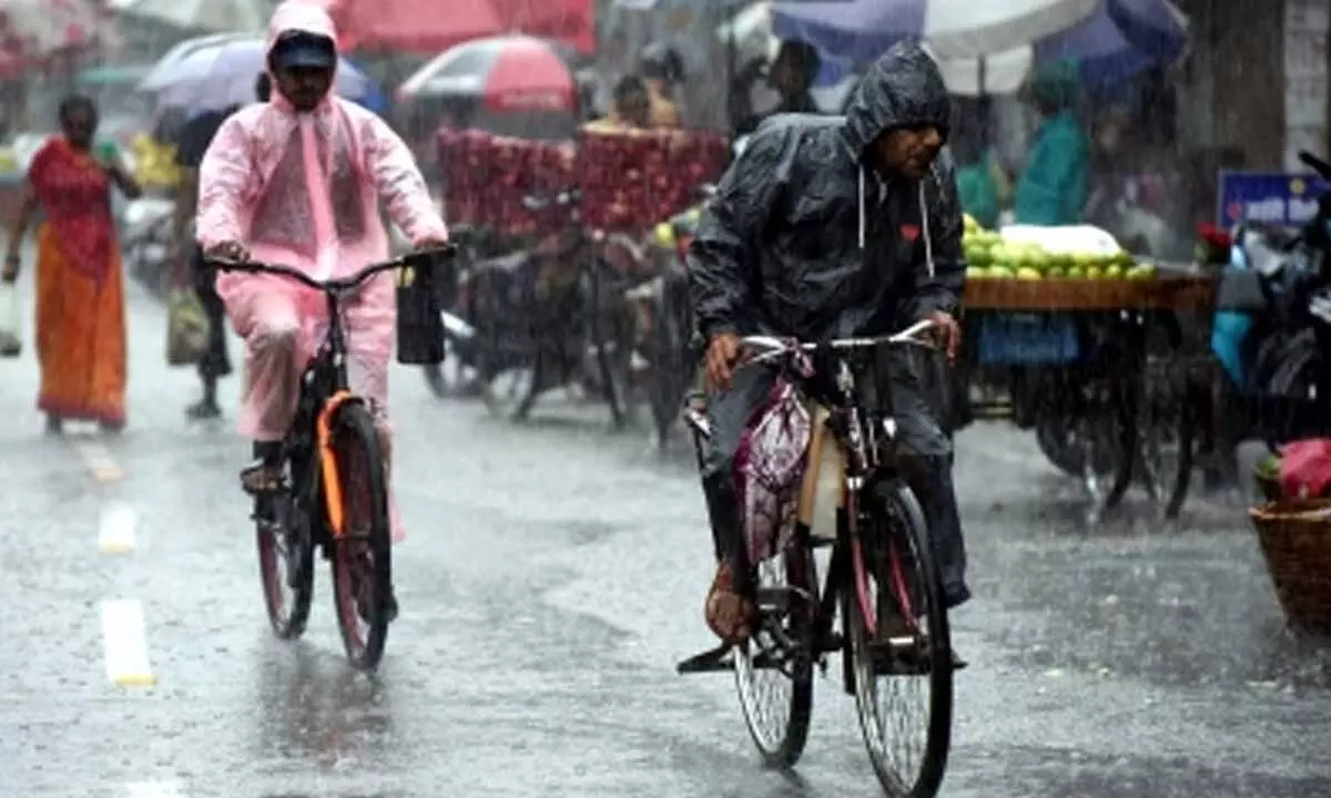 IMD issues yellow alert for rain in Madhya Pradesh for next 24 hours