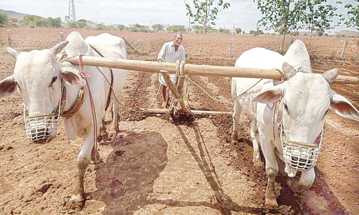 Farmers Unhappy Over Poor Support From Govt