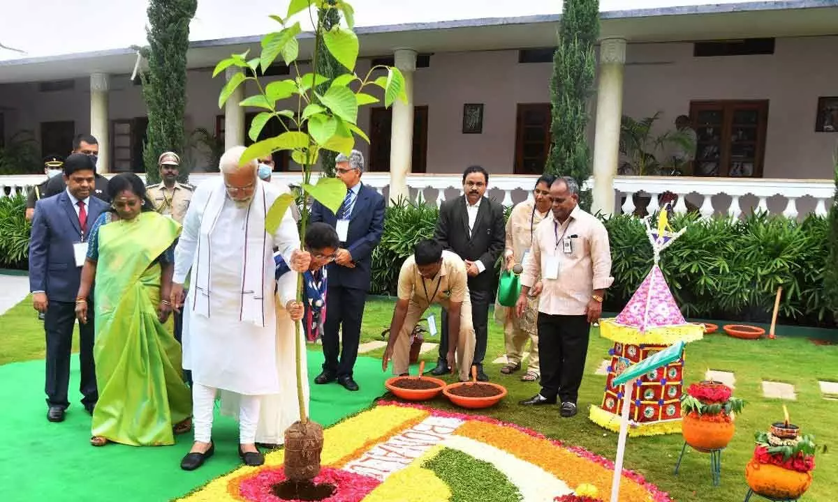 PM Narendra Modi plants sapling at Raj Bhavan