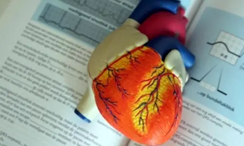 Bionic valve from pig may help heart patients avoid major surgery