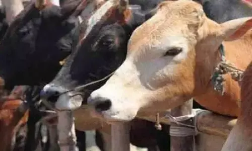 Representational image