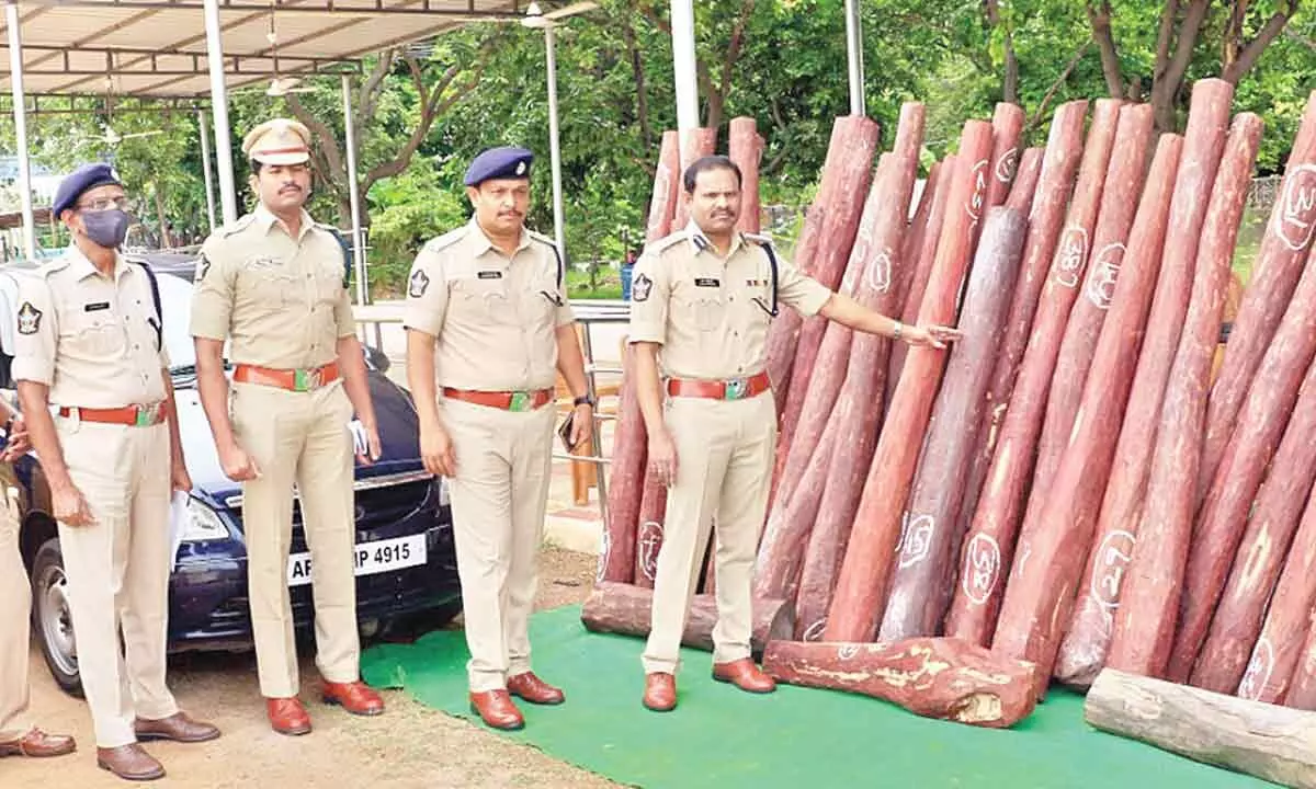 DIG Ravi Prakash and SP Parameswar Reddy along with a team of officials showing the seized red sanders logs to the media at AR Parade Ground in Tirupati on Wednesday