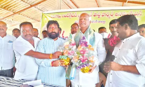 Chicken price may go up as farmers continue to protest