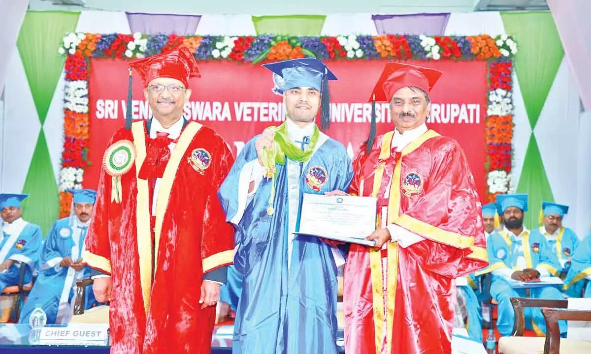 Aman Kumar Tiwari receiving 11 gold medals from SVVU VC Padmanabha Reddy at 11th convocation in Tirupati on Thursday.