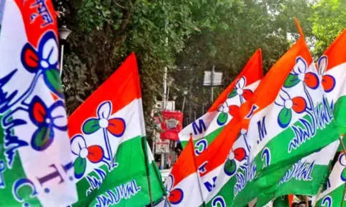 For representational purpose