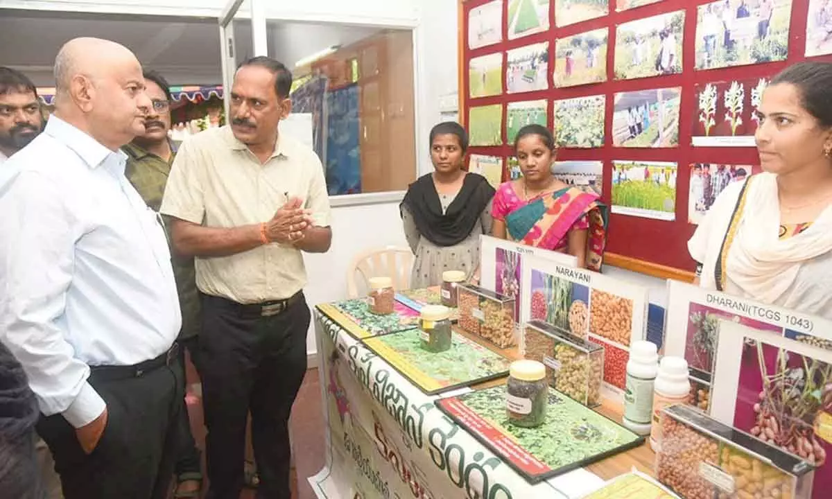 District Collector K Venkataramana Reddy inspecting the stalls, which showcased high-yielding seed varieties, at RASS-KVK, near Tirupati on Friday