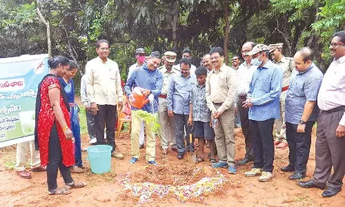 State Forest Academy Director JSN Murthy watering a sapling after planting it at Regional Forestry Research Centre in Rajamahendravaram on Friday. Rajahmundry Circle CCF S Sri Saravanan, State Silviculturist L Bheemaiah and others are also seen.