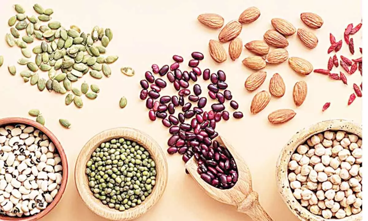 Should you try plant-based protein?