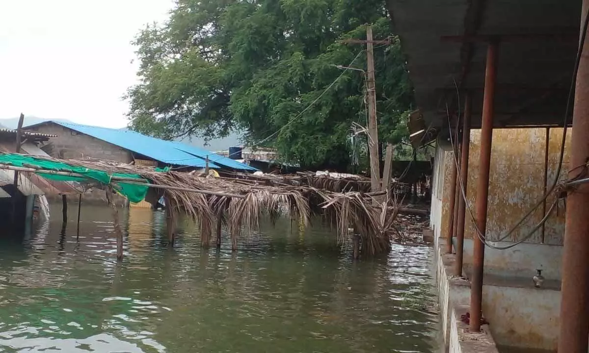 A view of submerged Gandi village in Devipatnam mandal