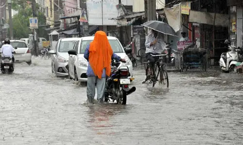 For representational purpose