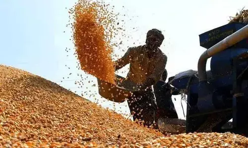 TSSDC: Farmers switching to high-yield crop varieties