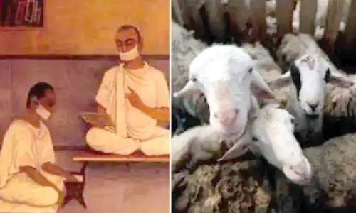 Jains fast to atone over animal slaughter on Bakrid