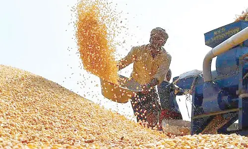 TSSDC: Farmers switching to high-yield crop varieties