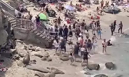 The sea lions scared the people away in San Diego.