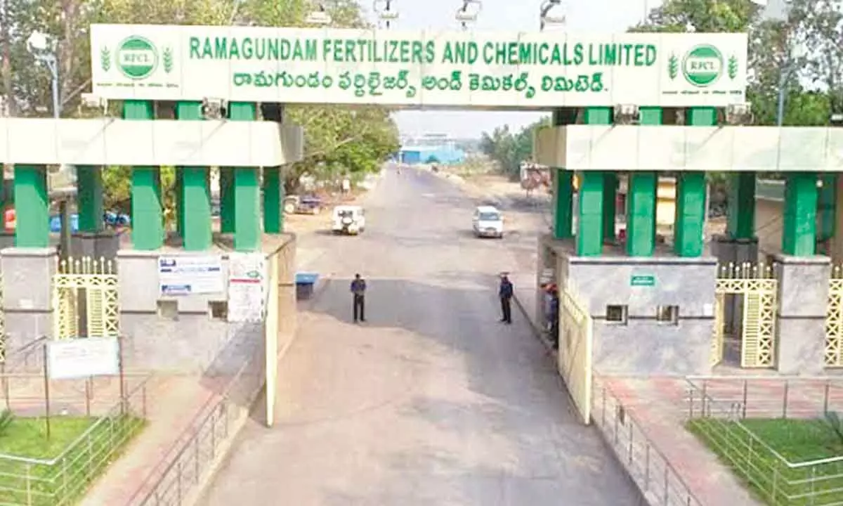 Roof collapse halts fertiliser production at RFCL