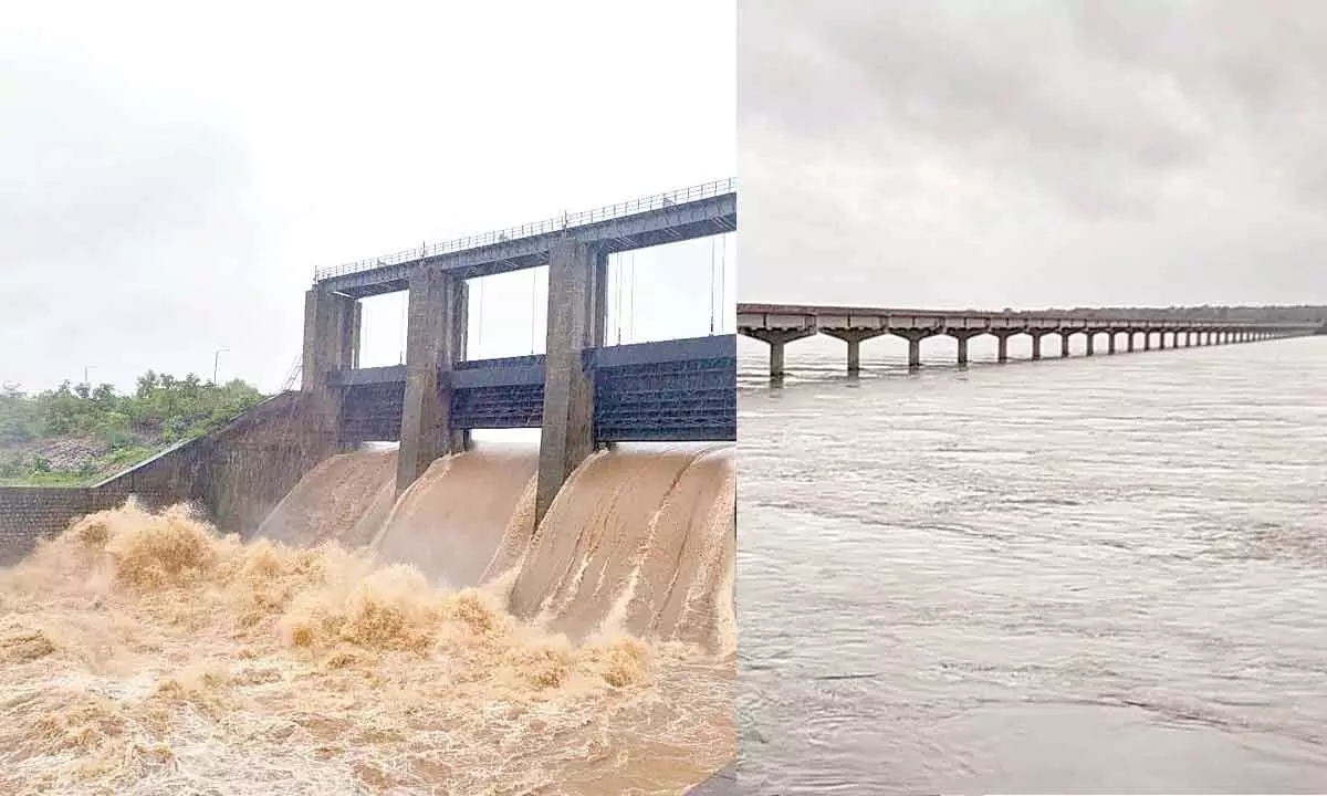 Copious rains fill all projects in Adilabad