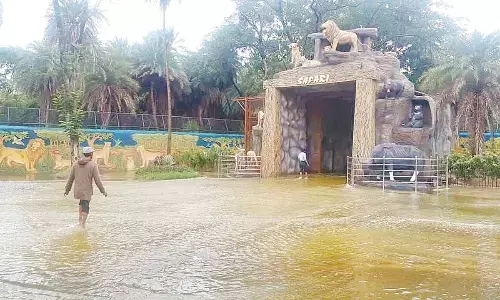 Hyderabad: Safari Park complex at zoo temporarily shut due to heavy inflow
