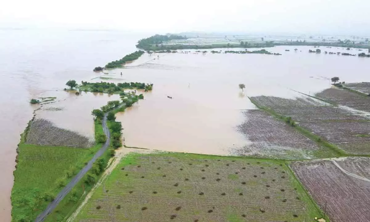 Low-lying areas inundated in erstwhile Warangal