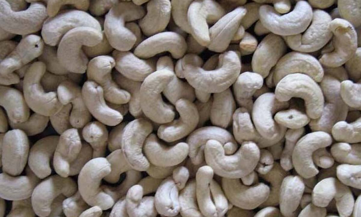 Srikakulam: Cashew units slip into crisis