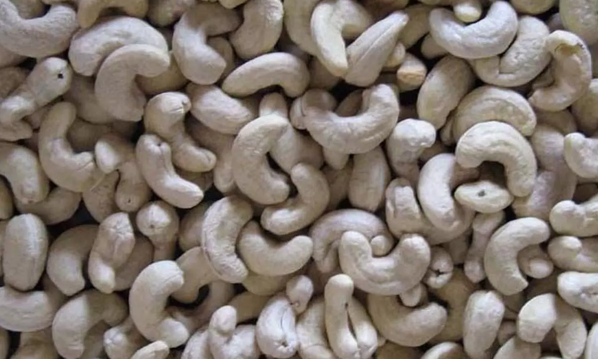 Srikakulam: CPM decides to intensify stir over cashew price