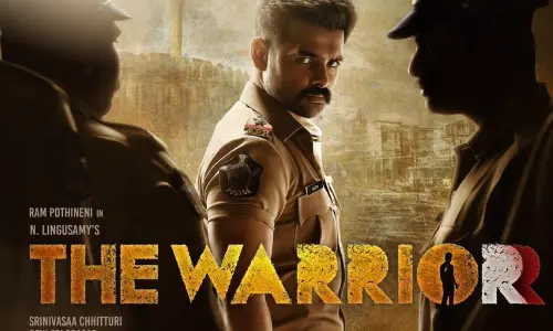 The Warriorr USA Collections prediction report