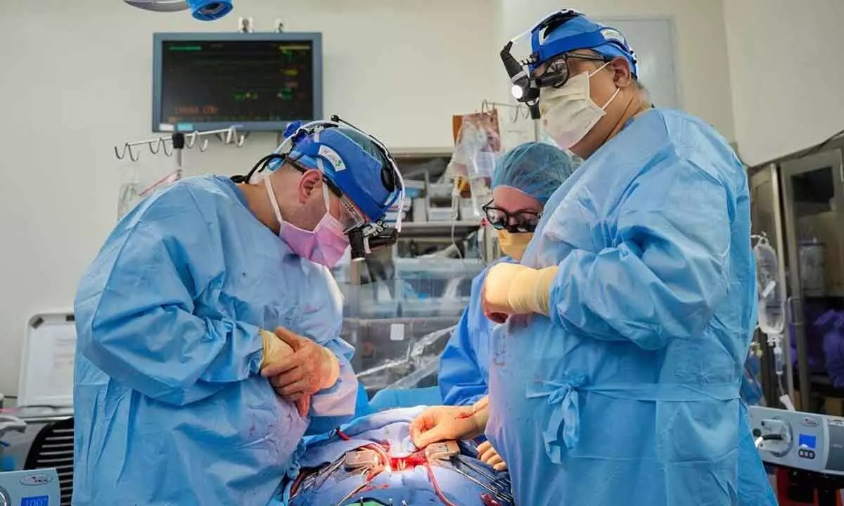 In this photo provided by NYU Langone Health, Dr. Nader Moazami, right, and cardiothoracic physician assistant Amanda Merrifield, center, and other members of a surgical team prepare for the transplant of a genetically modified pig heart into a recently deceased donor at NYU Langone Health on July 6, 2022, in New York.