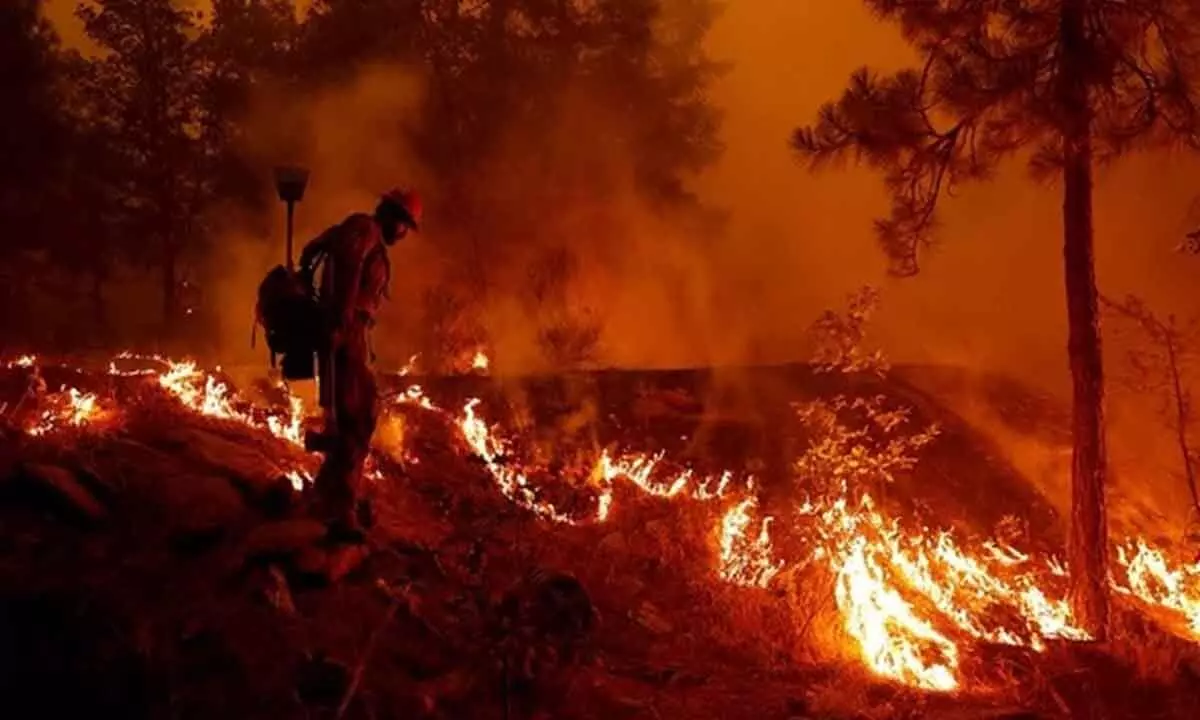 Aircraft, firefighters battle wildfires along Croatias Adriatic coast