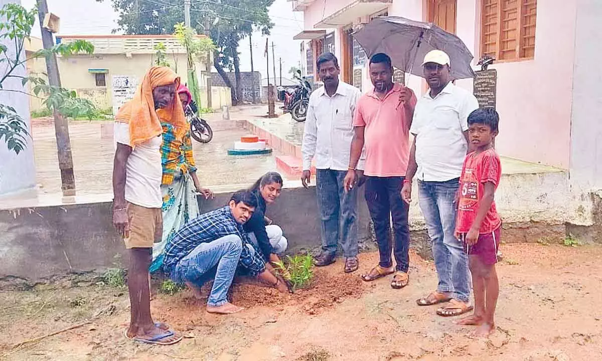 Plant a sapling & get marriage certificate