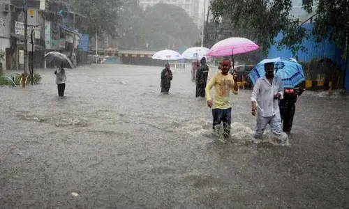 For representational purpose