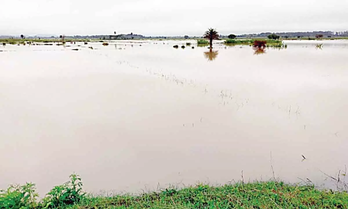 Torrential rain disrupts lives in Nabarangpur district