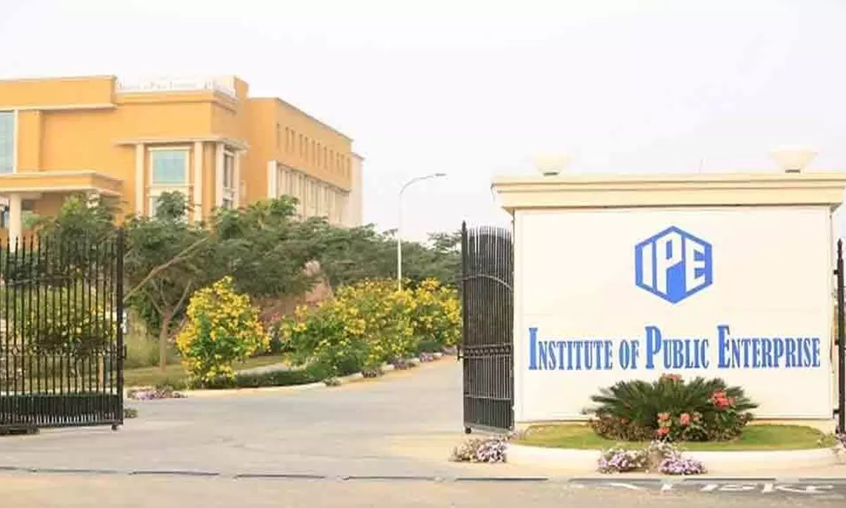 Institute of Public Enterprise
