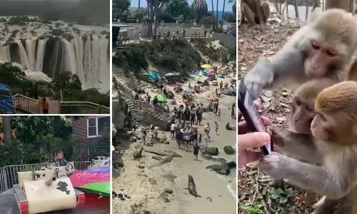 Top Trending Videos Of The Week