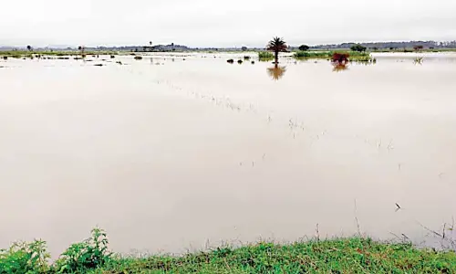 Torrential rain disrupts lives in Nabarangpur district