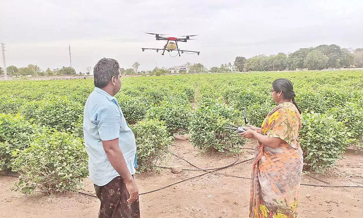 Guntur farmer harnesses tech to power cultivation