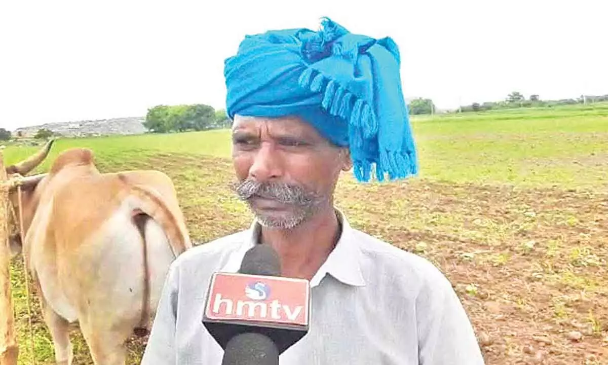 A cotton farmer from Nagarkurnool relating his plight