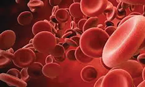 DKMS BMST Foundation India organizes blood stem cell donor drive