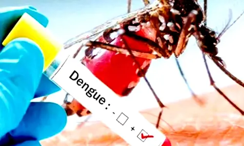 158 dengue cases in Delhi so far this year