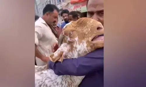 The video has been watched thousands of times since being shared on Friday.