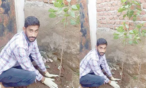 Hyderabad: Techie turns green saviour
