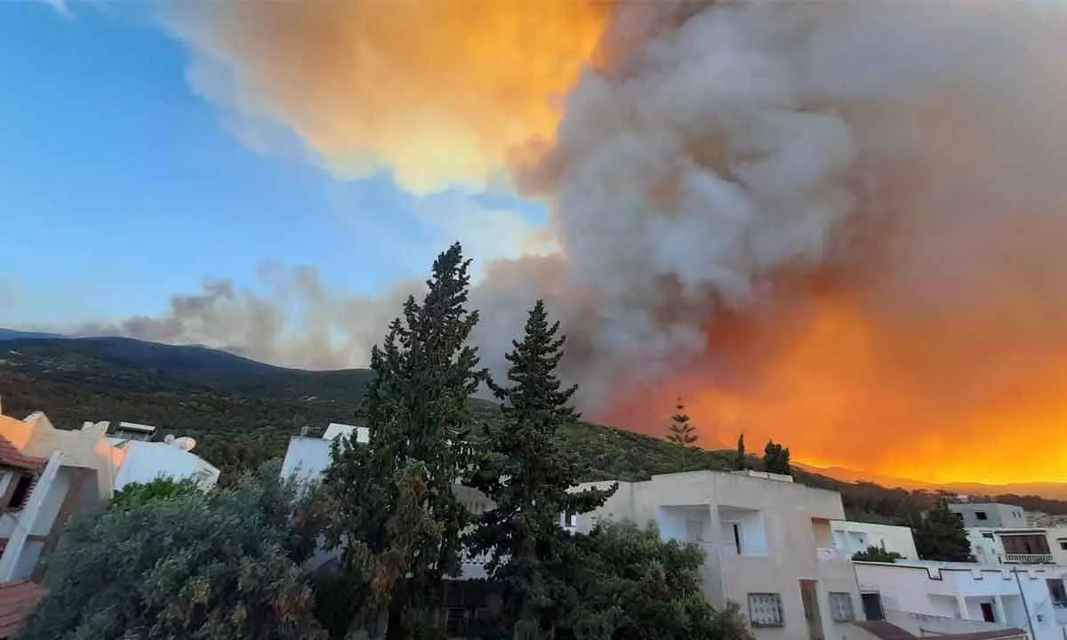 Huge wildfire breaks out near Tunisian capital