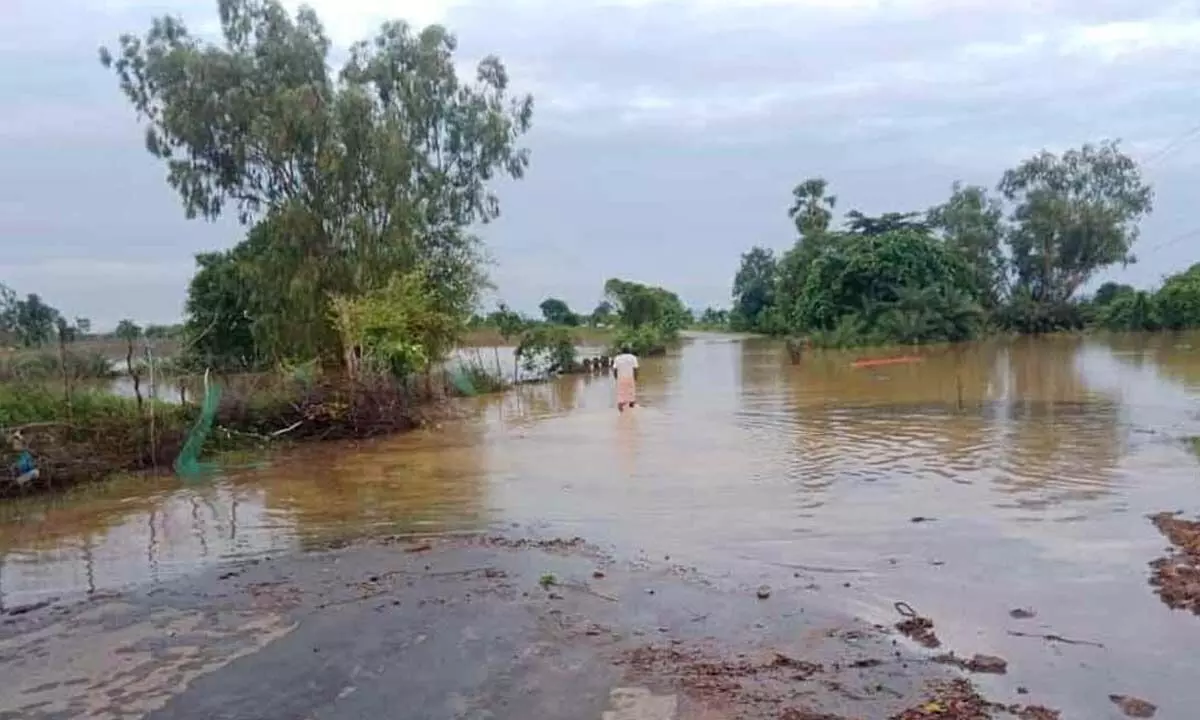 Four mandals remain disconnected from Asifabad due to flood waters